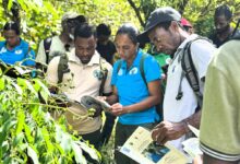 Kemenhut Salurkan Bantuan ke 7 KUPS di Jawa Timur, Dorong Usaha Hutan Sosial