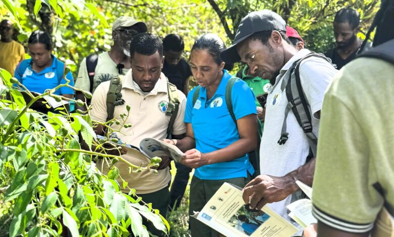 Kemenhut Salurkan Bantuan ke 7 KUPS di Jawa Timur, Dorong Usaha Hutan Sosial