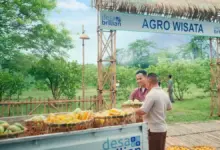 BRI Peduli Dorong Ketapanrame Naik Kelas, dari Edukasi Haji hingga Wisata Sawah
