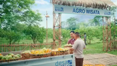 BRI Peduli Dorong Ketapanrame Naik Kelas, dari Edukasi Haji hingga Wisata Sawah
