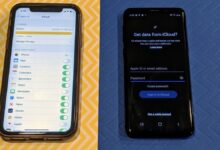 iCloud Shared Albums Akan Dibuka ke Android, Galaxy Segera Bisa Ikut Isi Album iPhone