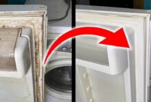 Karet Pintu Kulkas Menghitam Jangan Dianggap Remeh, Bisa Bikin Listrik Naik