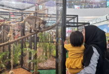 350 Satwa Gembira Loka Hadir di The Park Semarang, Libur Sekolah Jadi Kelas Konservasi