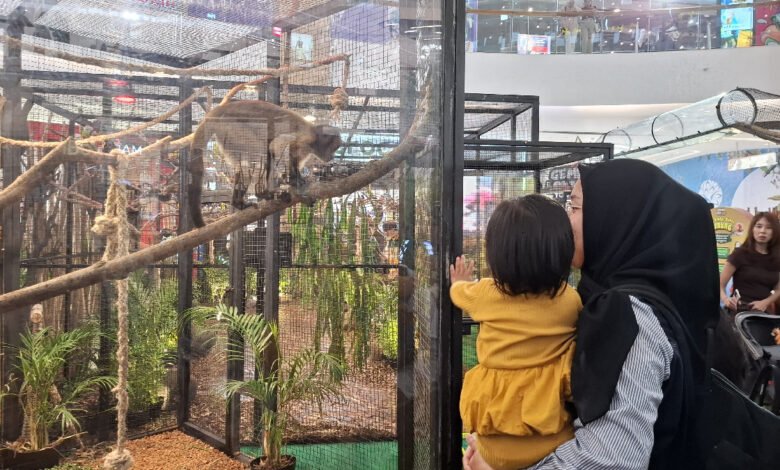 350 Satwa Gembira Loka Hadir di The Park Semarang, Libur Sekolah Jadi Kelas Konservasi