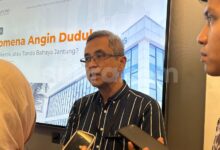 Obat Kolesterol dan Diabetes Ternyata Tak Merusak Ginjal, Ini Penjelasan Dokter