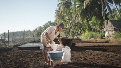Desa Les Bali Menang Besar, Wisata, Garam Tradisional, dan Alam Bisa Tumbuh Bersama