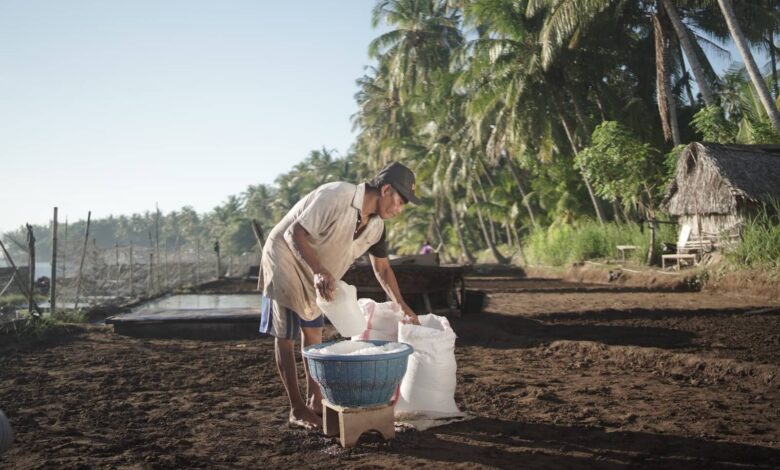 Desa Les Bali Menang Besar, Wisata, Garam Tradisional, dan Alam Bisa Tumbuh Bersama