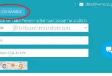 Cek Desil Bansos Lewat NIK KTP, Cara Mandiri yang Menentukan Peluang Bantuan