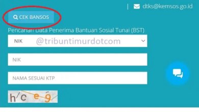 Cek Desil Bansos Lewat NIK KTP, Cara Mandiri yang Menentukan Peluang Bantuan