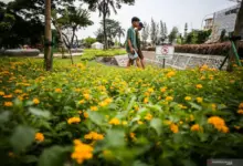 Jakarta Teduh dari Taman, Tapi Akses dan Fasilitasnya Masih Tertinggal