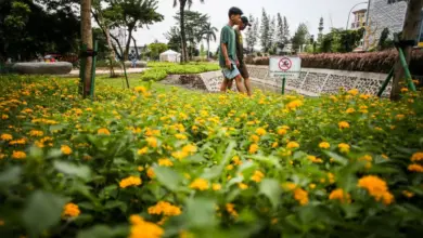 Jakarta Teduh dari Taman, Tapi Akses dan Fasilitasnya Masih Tertinggal