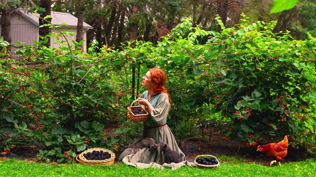 6 Prompt Gemini AI untuk Foto di Kebun Rasberi, Hasilnya Natural dan Sinematik