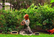 6 Prompt Gemini AI untuk Foto di Kebun Rasberi, Hasilnya Natural dan Sinematik