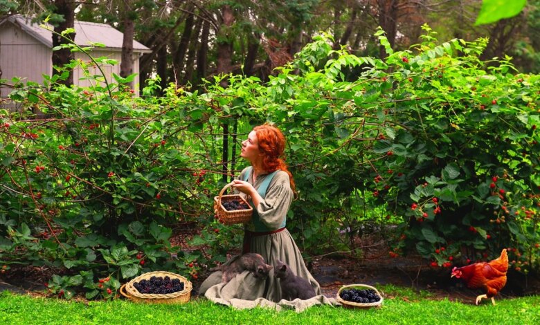 6 Prompt Gemini AI untuk Foto di Kebun Rasberi, Hasilnya Natural dan Sinematik