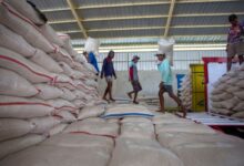 Stok Beras Tembus 5,3 Juta Ton, Bapanas Peringatkan Pedagang Tak Main Harga