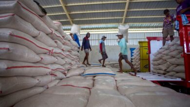 Stok Beras Tembus 5,3 Juta Ton, Bapanas Peringatkan Pedagang Tak Main Harga