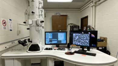 SEM Bekas Disulap Jadi TEM, Hasilnya Tembus Resolusi Sub-Nanometer