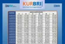 Cicilan KUR BRI Rp75 Juta Bisa Turun ke Rp1,4 Juta, Ini Simulasi Tenornya