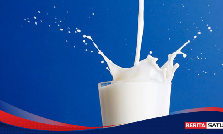 MBG Bisa Jadi Pintu Perubahan, Konsumsi Susu RI Masih Tertinggal di ASEAN