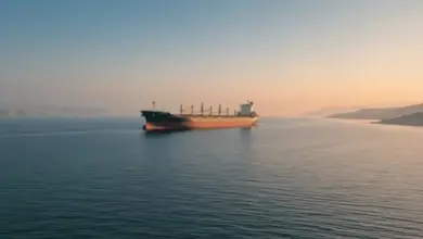 Bitcoin Dekati $66.000 Usai Damai AS–Iran, Relief Risk-On Mulai Terasa di Pasar
