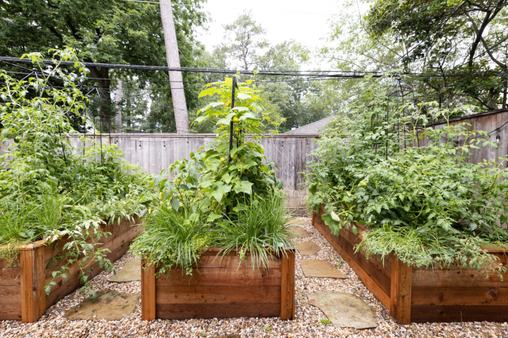 6 Prompt Gemini AI untuk Foto Berkebun yang Terlihat Hangat dan Hidup