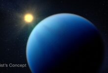 TOI-1883 b Sangat Ringan, Super-Neptunus Ini Ternyata Punya Kepadatan yang Nyaris “Hampa”