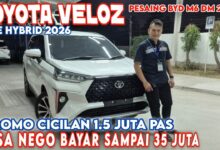 BYD M6 DM Dipasang di Bawah Rp300 Juta, Toyota Veloz Hybrid Langsung Tertekan