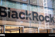 BlackRock Pangkas 1 Persen Karyawan, Tetap Gencar Ekspansi di Tengah Efisiensi