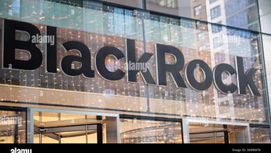 BlackRock Pangkas 1 Persen Karyawan, Tetap Gencar Ekspansi di Tengah Efisiensi