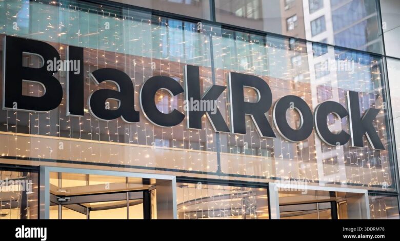 BlackRock Pangkas 1 Persen Karyawan, Tetap Gencar Ekspansi di Tengah Efisiensi