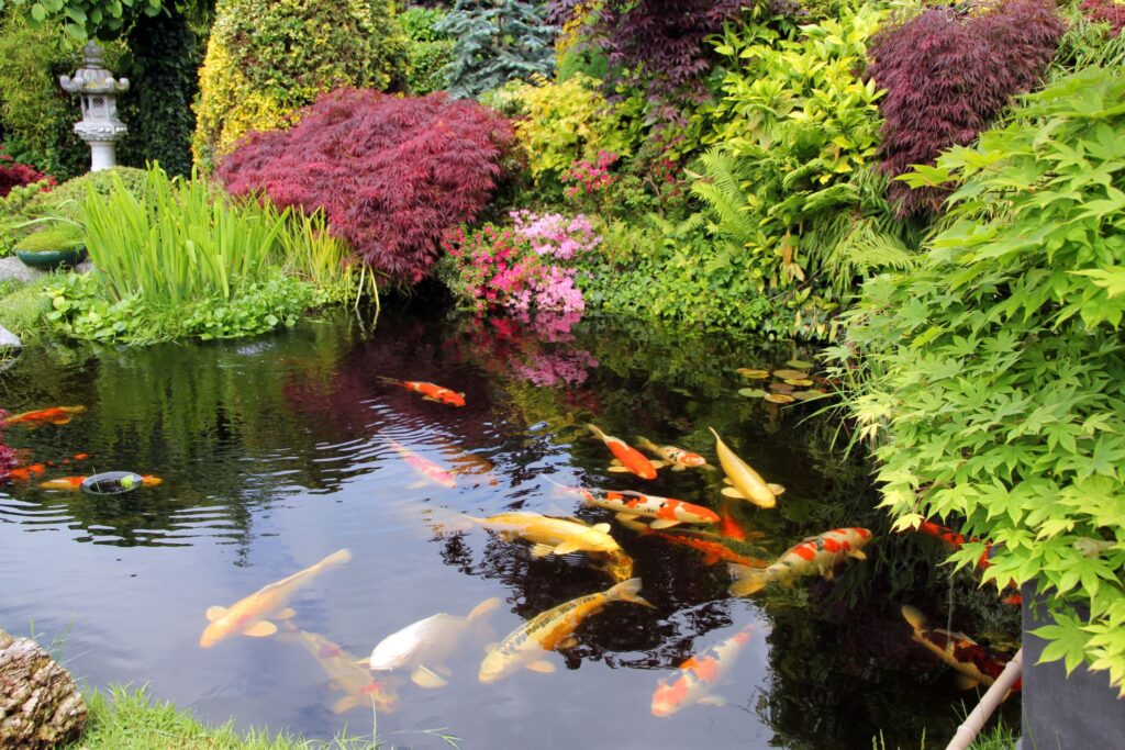 7 Inspirasi Kolam Ikan Dangkal, Tetap Aman untuk Rumah dengan Balita