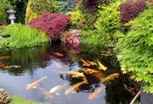 7 Inspirasi Kolam Ikan Dangkal, Tetap Aman untuk Rumah dengan Balita