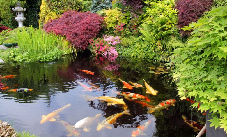 7 Inspirasi Kolam Ikan Dangkal, Tetap Aman untuk Rumah dengan Balita