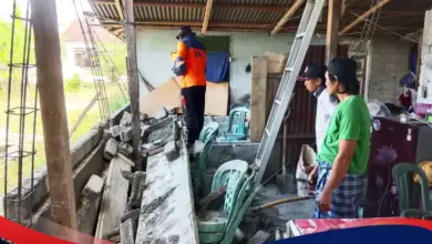 Satu Gempa, Dua Sesar Disebut, Inilah Kenapa Sulteng Masih Dibaca Kompleks