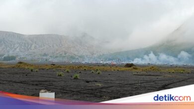 Kota Batu Diprediksi 14 Derajat, Kabut Pagi Warnai Cuaca Jawa Timur