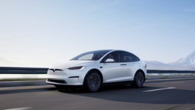 Kepala Boneka Dipakai Menipu Full Self-Driving Tesla, Celah Aneh yang Terbongkar di China