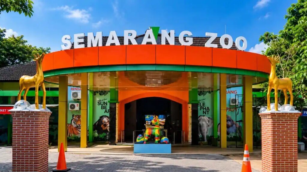 Semarang Zoo Kasih Tiket Gratis untuk Pelajar, Libur Sekolah Jadi Lebih Ringan