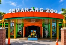 Semarang Zoo Kasih Tiket Gratis untuk Pelajar, Libur Sekolah Jadi Lebih Ringan