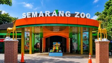 Semarang Zoo Kasih Tiket Gratis untuk Pelajar, Libur Sekolah Jadi Lebih Ringan