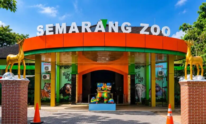 Semarang Zoo Kasih Tiket Gratis untuk Pelajar, Libur Sekolah Jadi Lebih Ringan
