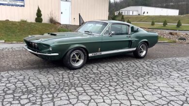 Rick Tak Bisa Melepas Shelby GT 350 Langka Ini, Langsung Dibeli di Pawn Stars