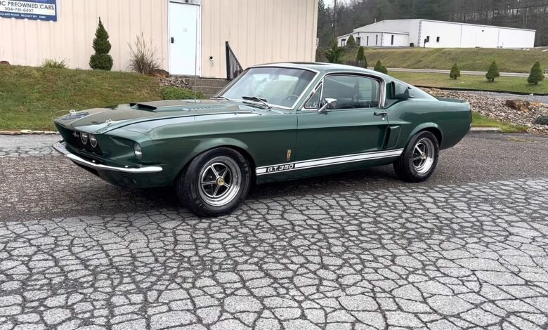 Rick Tak Bisa Melepas Shelby GT 350 Langka Ini, Langsung Dibeli di Pawn Stars