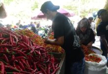 Keyakinan Konsumen Jatim Tembus 122,6, Melampaui Nasional di Tengah Tekanan Global