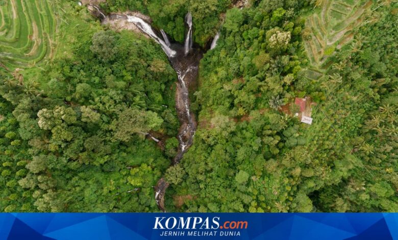 Jatim Genjot Perhutanan Sosial Naik Kelas, Usaha dan Agroforestri Jadi Andalan