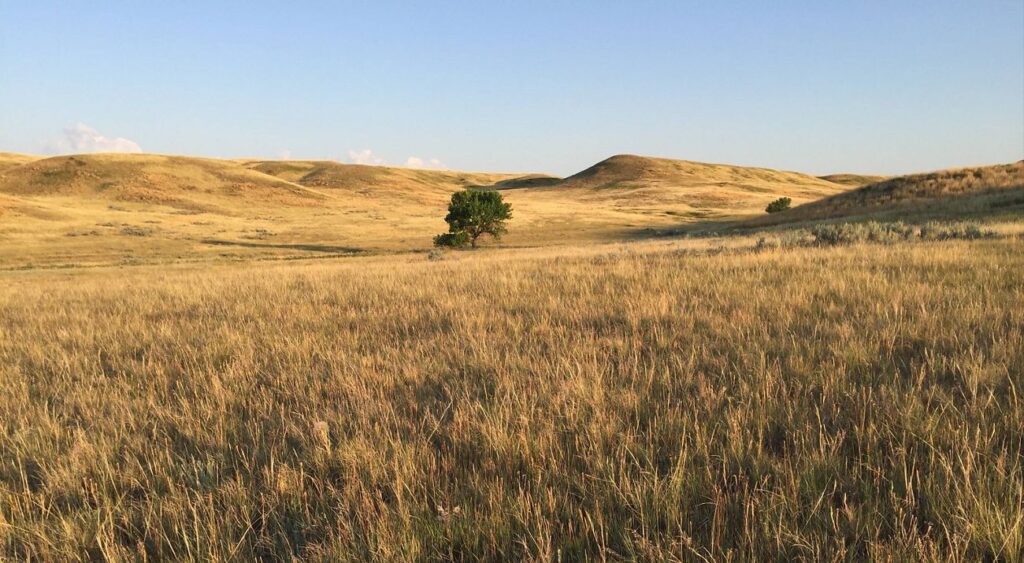 Great Plains Bukan Dataran Biasa, Hamparan Raksasa dengan Ekosistem Keras