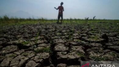 Kekeringan Mulai Lumpuhkan Pasuruan, 211 KK di Winongan Bergantung pada Air Bantuan