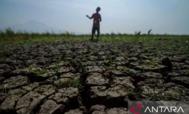 Kekeringan Mulai Lumpuhkan Pasuruan, 211 KK di Winongan Bergantung pada Air Bantuan