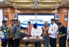 Jateng Wajib Serap Telur dan Daging Lokal, Skema MBG Ini Langsung Lindungi Peternak