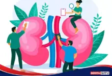 8 Ciri Ginjal Tidak Sehat yang Sering Terlewat, Kenali Gejala Awal Sebelum Terlambat