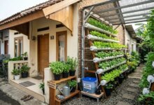 5 Tanaman Hidroponik Minimalis yang Bikin Ruangan Terlihat Mewah Tanpa Ribet
